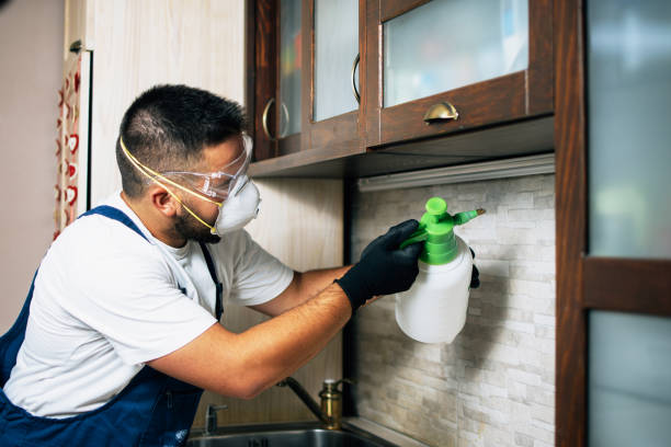 Best Emergency Pest Control  in Lucedale, MS