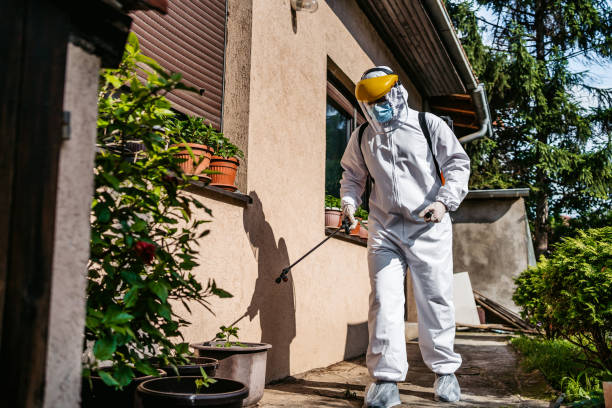 Best Affordable Pest Control Services  in Lucedale, MS