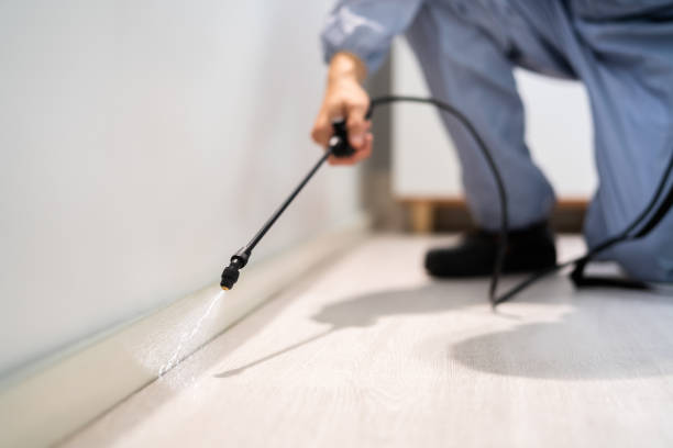 Best Residential Pest Control  in Lucedale, MS