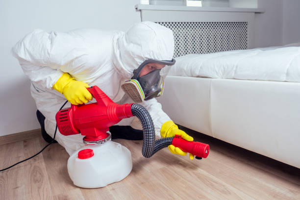 Best Wasp Removal Services  in Lucedale, MS